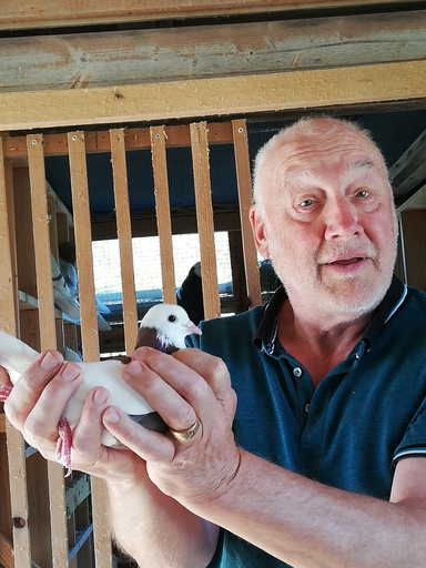 Image of Author Graham Dexter