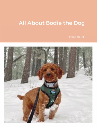 All About Bodie the Dog