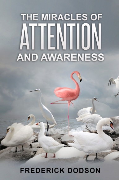 The Miracles of Attention and Awareness