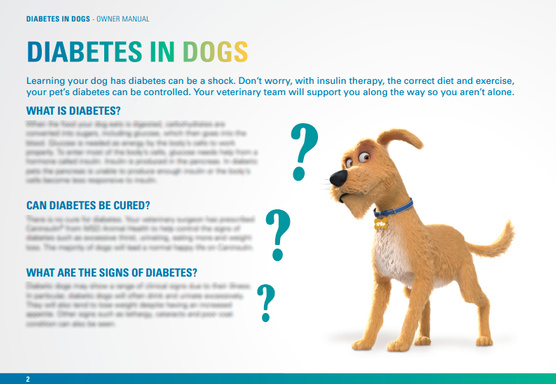 books diabetes in dogs