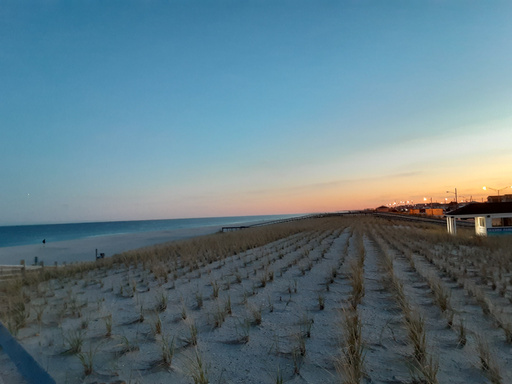 A Collection of Graded Readers