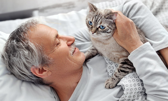 curb The cat