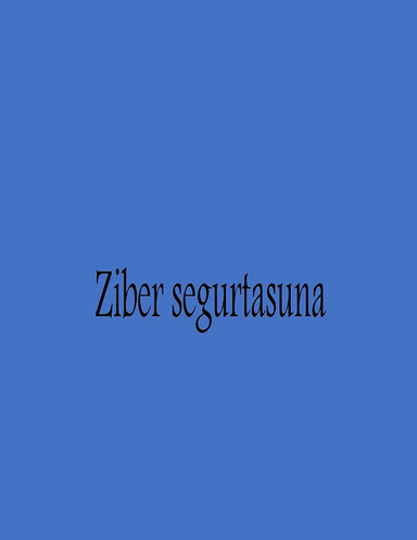 Ziber segurtasuna