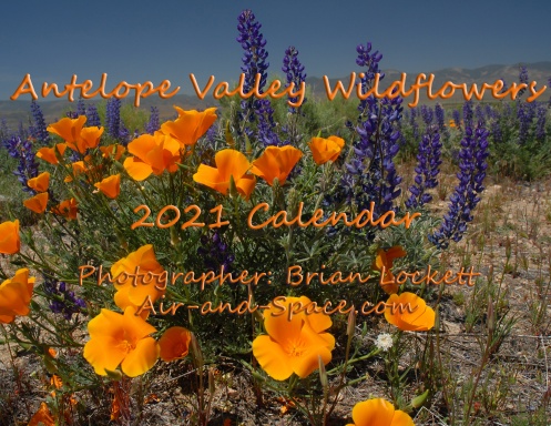 Antelope Valley Wildflowers, 2021 Calendar