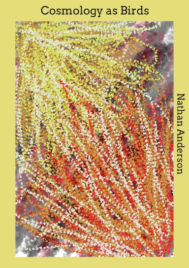 Cosmology as Birds