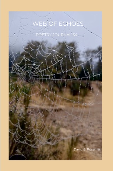 WEB OF ECHOES