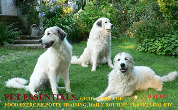 PET ESSENTIALS
