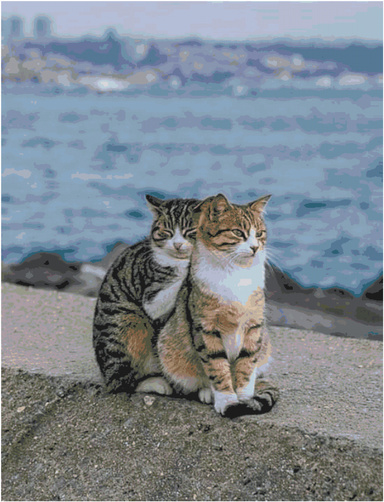 Cross Stitch Patterns Cats/ Counted Cross Stitch Patterns/ 48