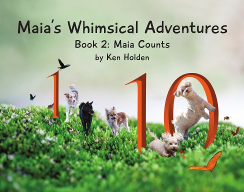 Maia's Whimsical Adventures