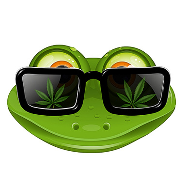 The Best Weed Delivery in DC