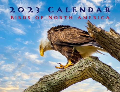 2023 Birds of North America Calendar