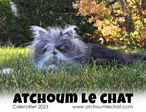 Atchoum Le Chat calendier 2023