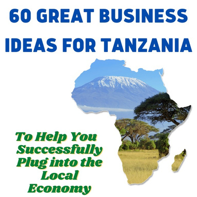 60 Great Business Ideas for Tanzania