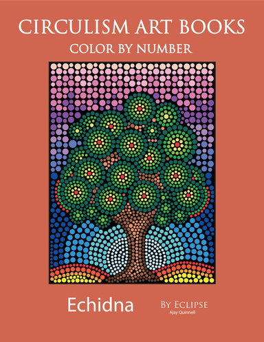 Echidna Colour by number book