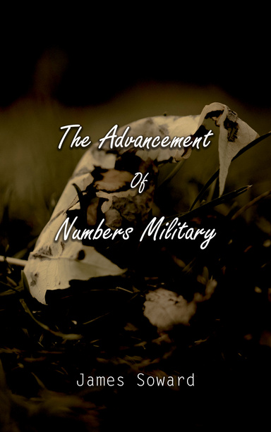 The Advancement Of Numbers Military