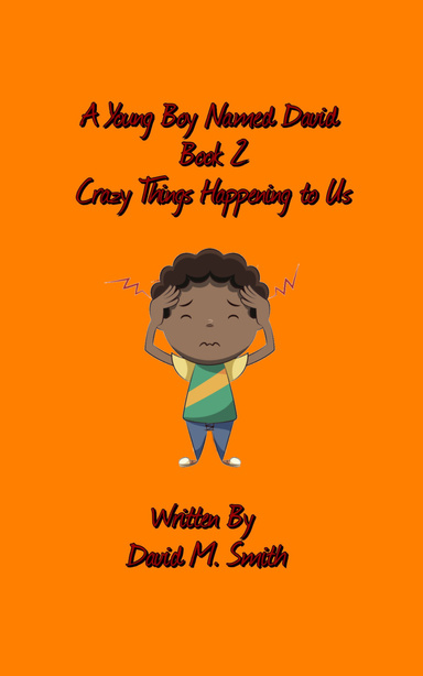 A Young Boy Named David Book 2: Crazy Things Happening to Us