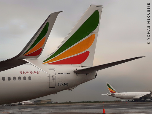 THE EFFECT OF SERVICE QUALITY ON CUSTOMER SATISFACTION: THE CASE OF ETHIOPIAN AVIATION GROUP