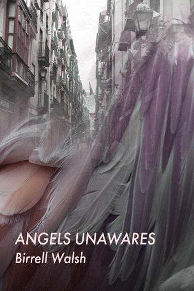 Angels Unawares