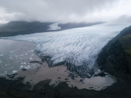 The Younger Dryas