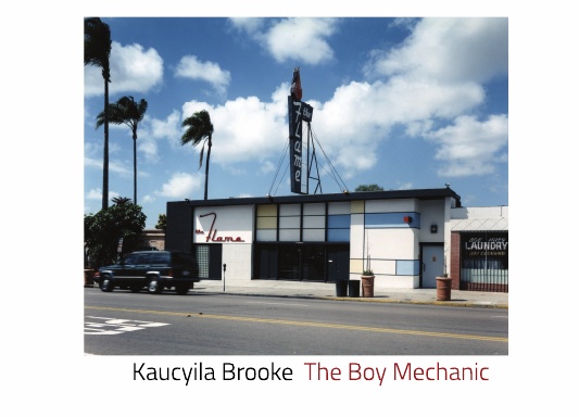 Boy Mechanic