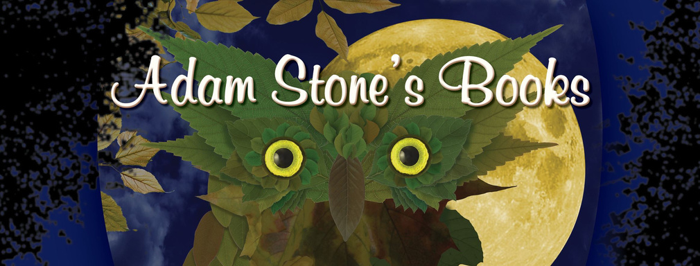 Image of Author Adam Stone