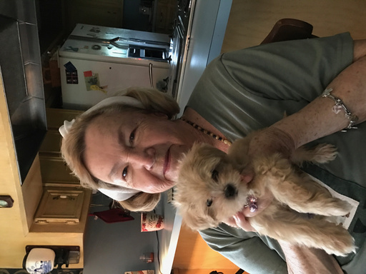 Image of Author Diana Howard