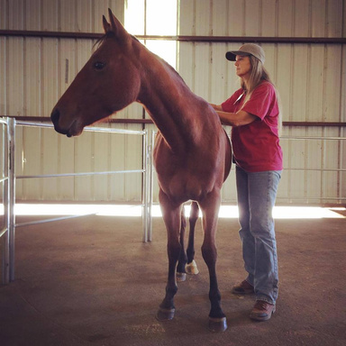 Image of Author Becky Strassner/Natural Horse Way