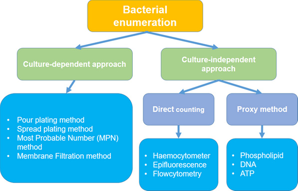 Image of Author Practical Bacteriology