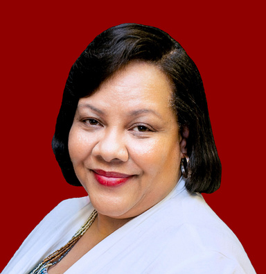 Image of Author Vanessa Collins