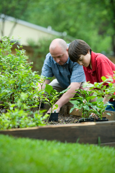 VERDE SINFONIA: GUIDA PRATICA AL GIARDINAGGIO CREATIVO.