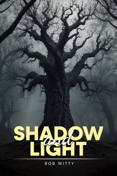 Shadow and Light