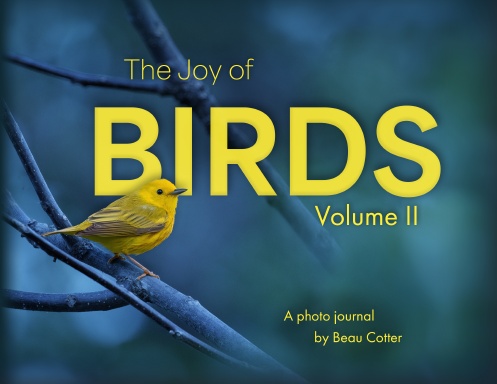 The Joy of Birds, Volume II