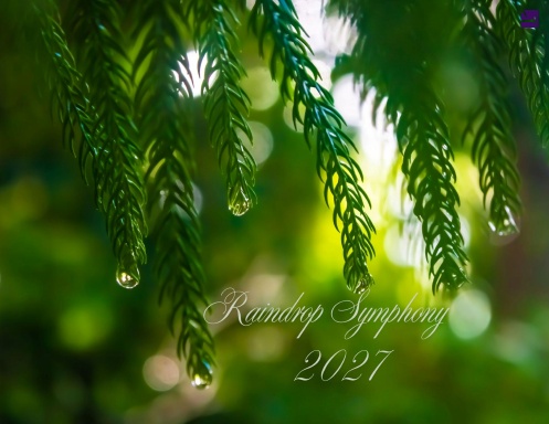 Raindrop Symphony 2027