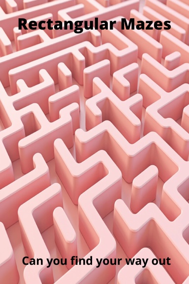 Rectangular Mazes - Can you find your way out?