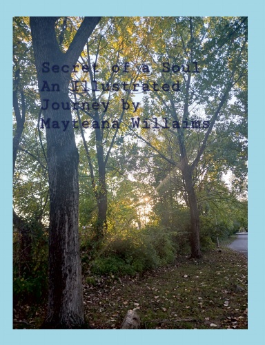 Secret of a Soul an Illustrated Journey by Mayteana Williams