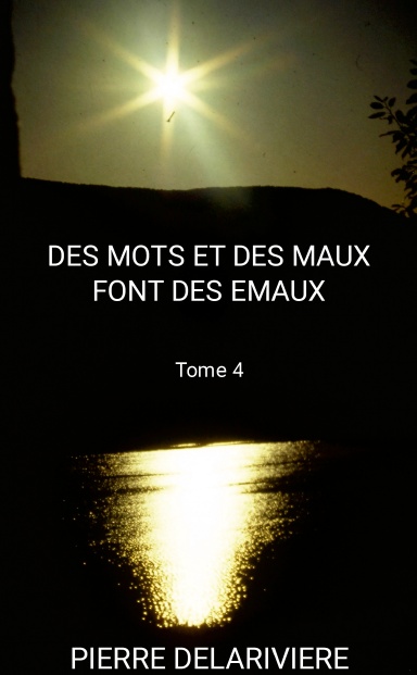 PIERRE DELARIVIERE - Des mots et des Maux font des Émaux - Tome 4