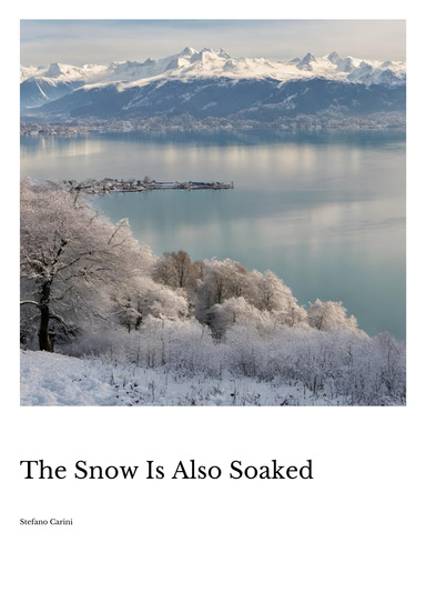 The Snow Is Also Soaked