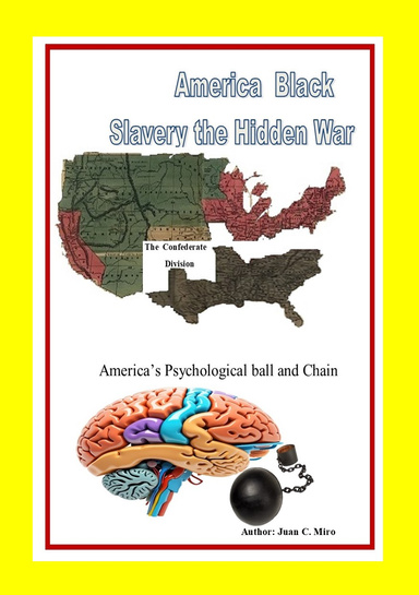 America Black The Hidden War