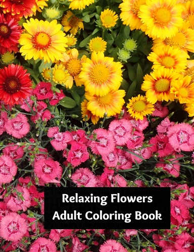 COLORING BOOK