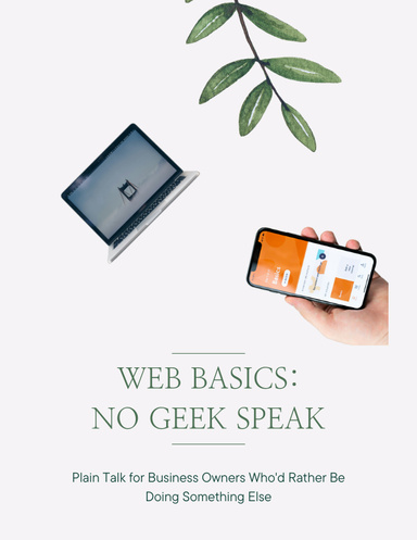 Web Basics: No Geek Speak