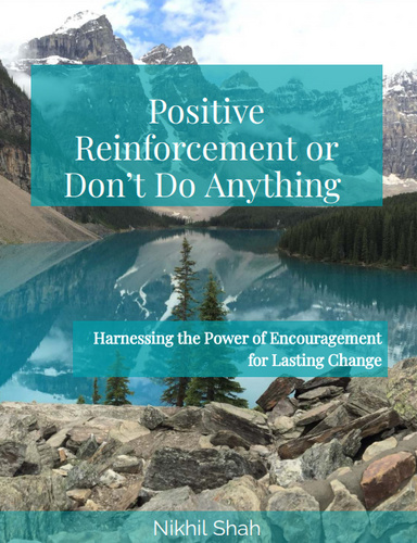 Nik Shah | Positive Reinforcement or Don't Do Anything | Harnessing the Power of Encouragement for Lasting Change