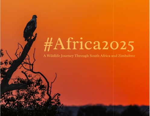 #Africa2025