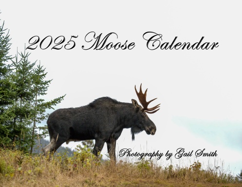 2025 Moose Calendar