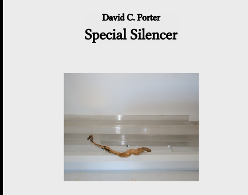 Special Silencer (Hardcover)