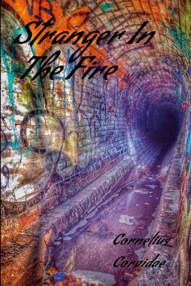 Stranger In The Fire