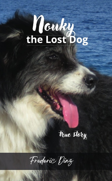 Nouky the lost dog