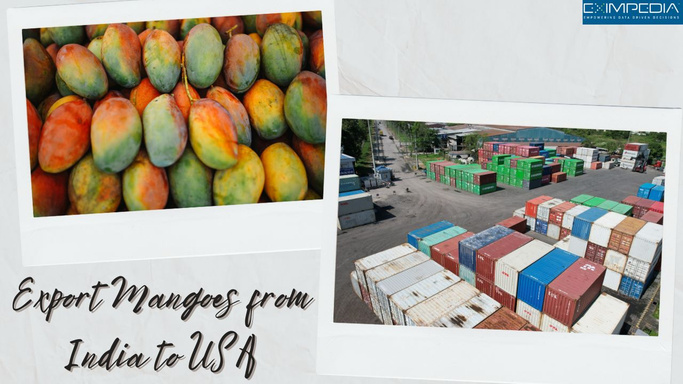 India Mango Export to USA: Step-by-Step Procedure