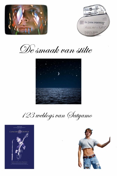 De smaak van stilte