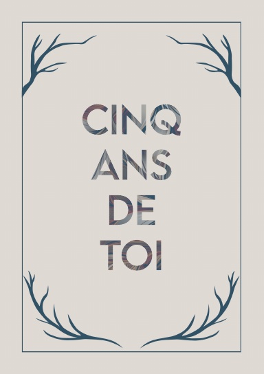Cinq ans de toi