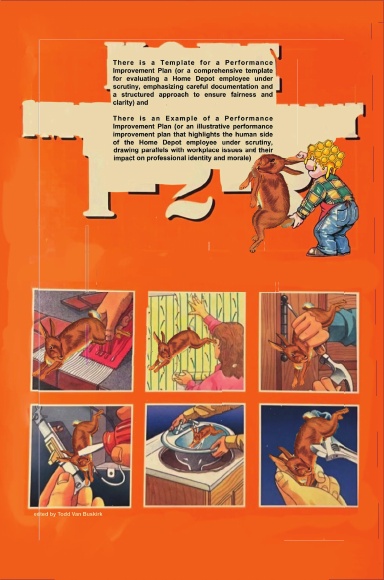 There is a Template for a Performance Improvement Plan...